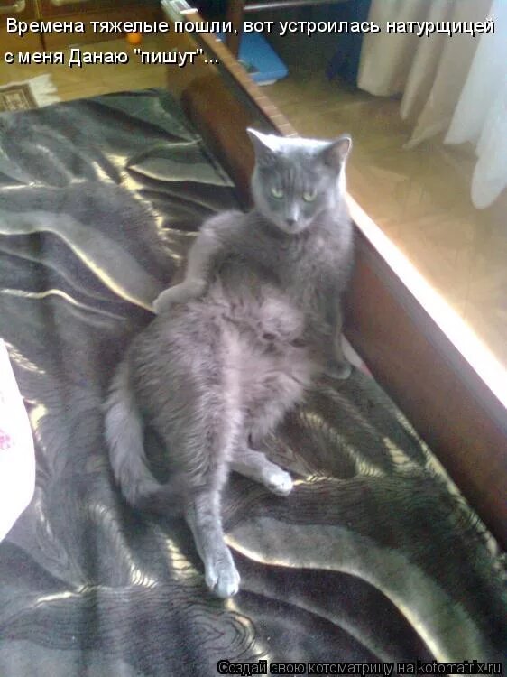 фотосессия для начинающих фотографов. современные фотографы. фотосессия для фотографа. ну сфотографируй. ну сфотографируй.