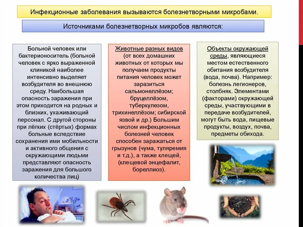 Основные мероприятия по профилактике паразитарных заболеваний человека. Инфекционные заболевания животных. Заразные болезни животных. Профилактика инфекционных заболеваний животных. Инфекционные заболевания людей, растений и животных.