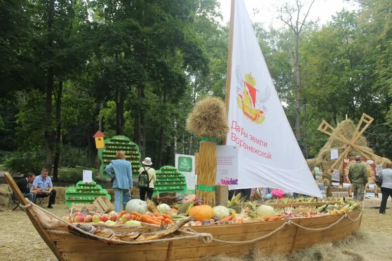 Город сад директор. Город сад Воронеж 2018. Пикник парк event Ямное. Гастрофестиваль Воронеж. Воронеж фестиваль Воронцовская Русь.