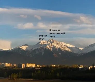 Пику адрес