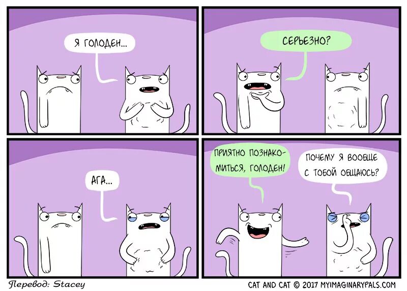 Комиксы про котов. Голодный кот мемы. Мемы с голодными котами. Я голодный.