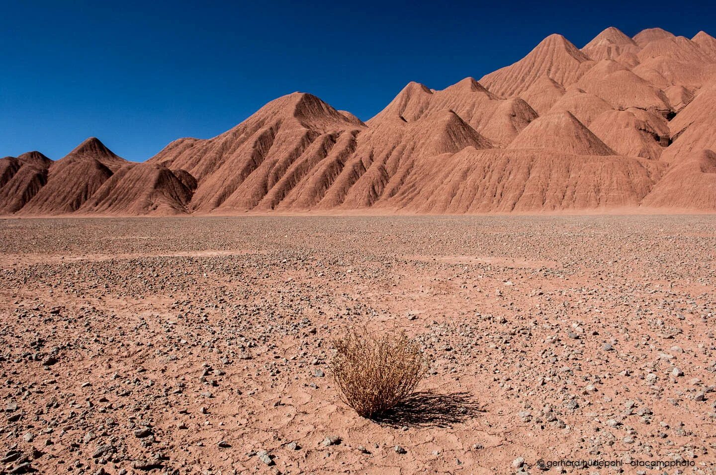 Самая сухая территория земли. Чили пустыня Атакама. Сухая пустыня (Атакама). Атакама Песчаная пустыня. Почва пустыни Атакама.