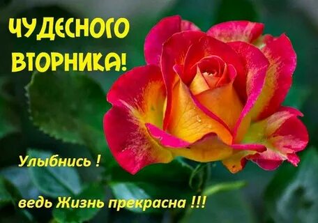 Картинки удачного вторника и хорошего