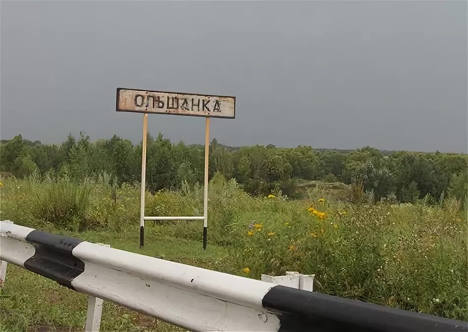 Село Ольшанка Аркадакский район. Село Ольшанка Саратовская область. Деревня Ольшанка Саратовская область Аркадакский район. Деревня Алексеевка Саратовская область Аркадакский район. Погода ольшанка аркадакский район саратовская область