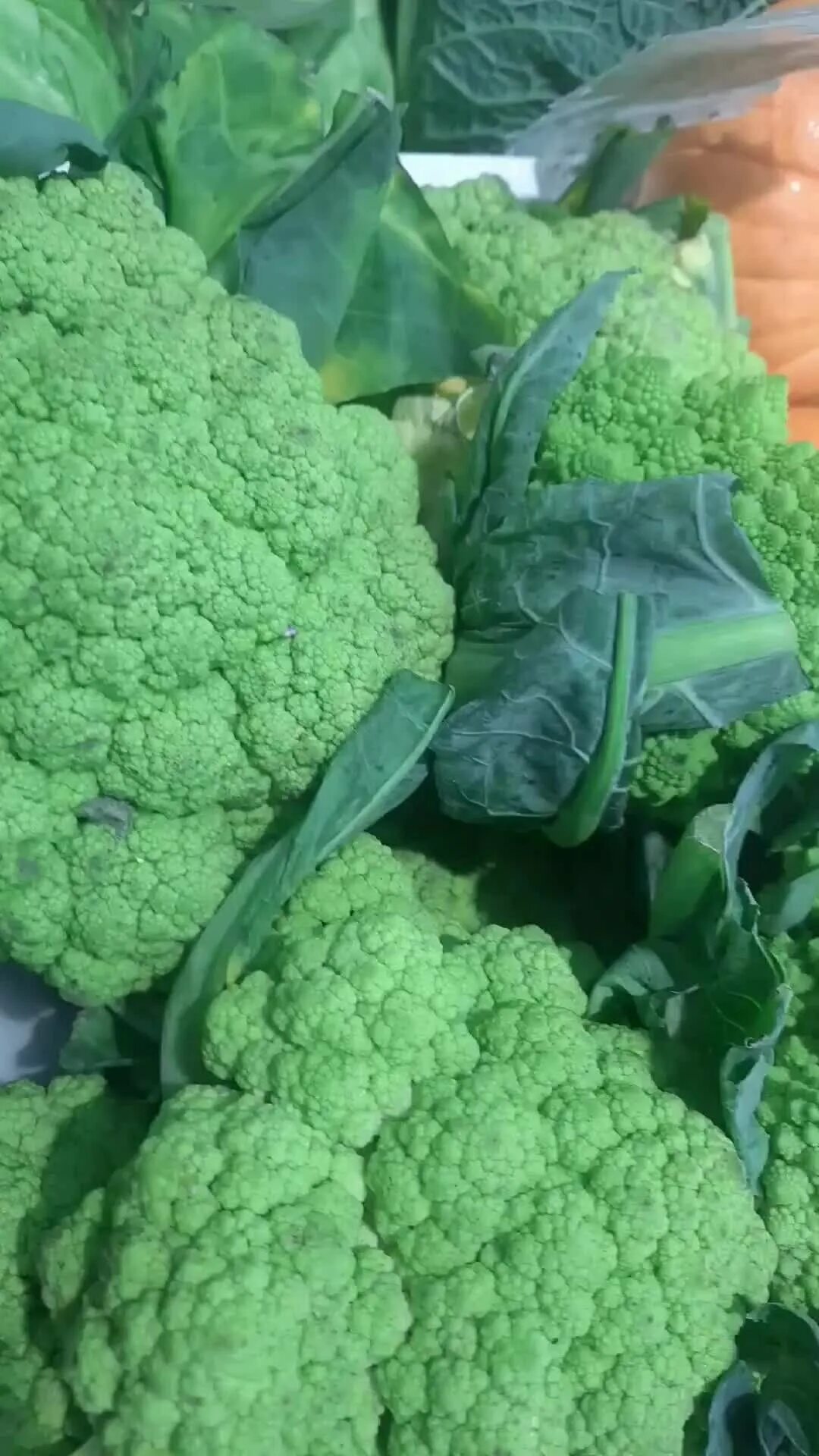 Квашеная капуста тушеная со свеклой. Кочан капусты в духовке. Блюдо из капусты и 2 яиц. Три вида капусты. 100 грамм тушеной капусты.