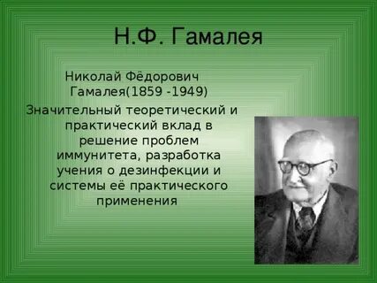 Н ф получать