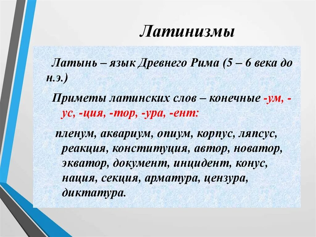 Латинское слово можно. Латинизмы в русском языке. Латинские заимствованные слова. Заимствования из латинского языка. Заимствования в латинском языке.