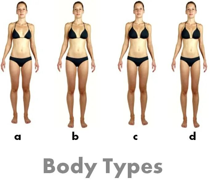 Mesomorph body type. Body type 0. Body types. Виды body type. Body types 3.