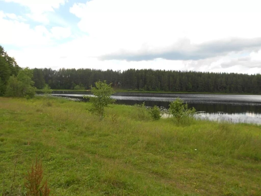 поселок охват тверская область. органический и виральный охват. деревня бобровец тверская область. рекламный охват. п охват.