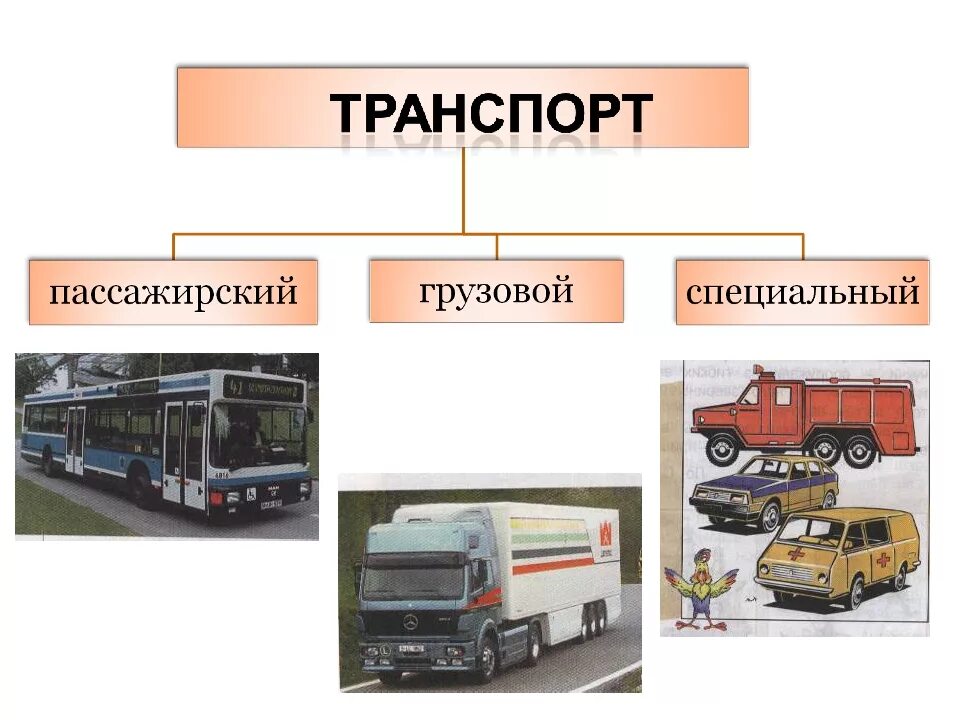 Государственный пассажирский транспорт. Транспорт пассажирский грузовой специальный. Виды автомобильного транспорта. Виды транспорта пассажирский грузовой специальный. Виды грузового автомобильного транспорта.