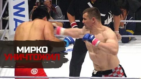 Бои мирко видео