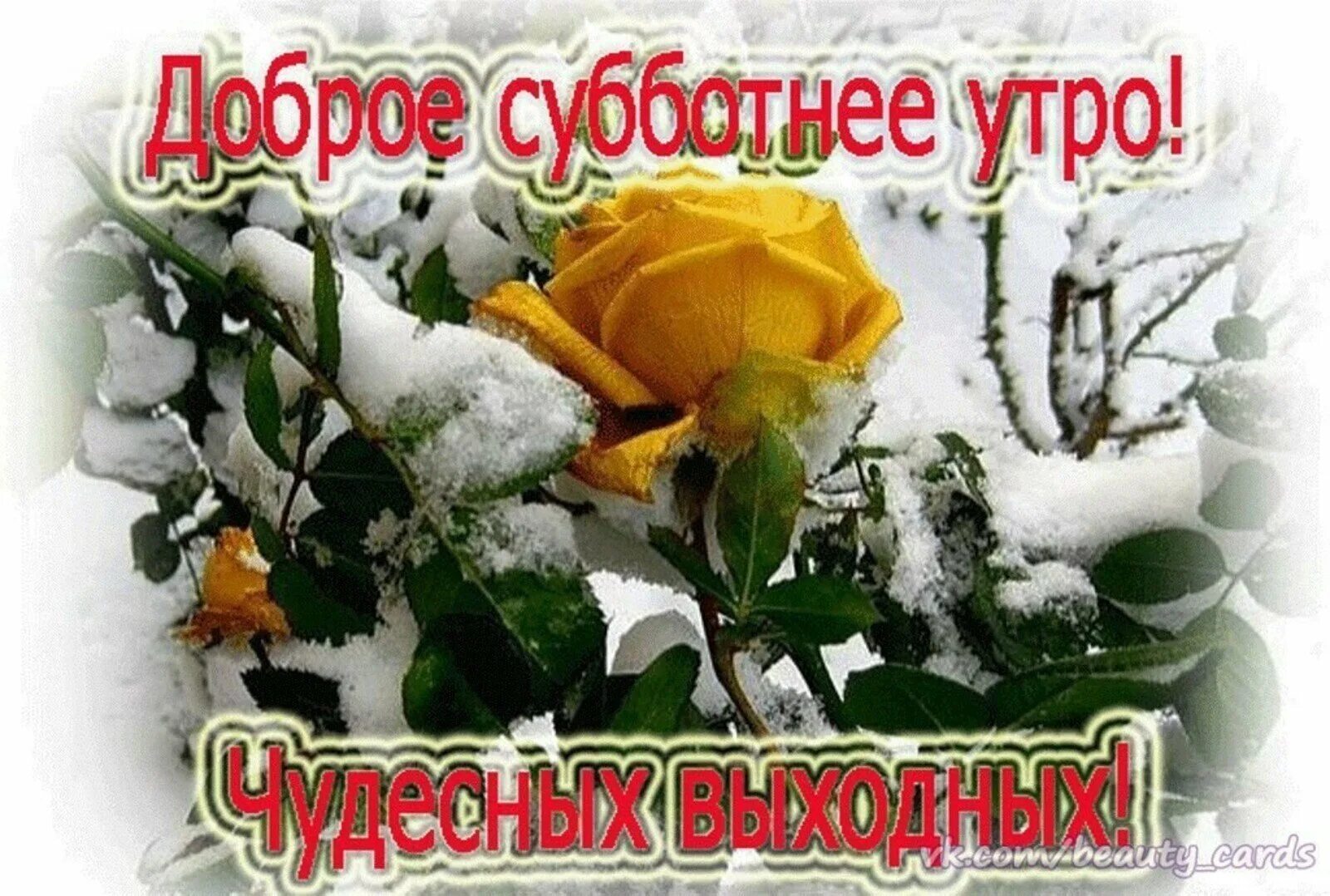Доброе субботнее февральское утро картинки красивые. Пожелания с добрым зимним утром. с добрым зимним утром субботы. открытки с добрым утром зимние. открытки зимние с добрым утром и хорошим днем красивые.