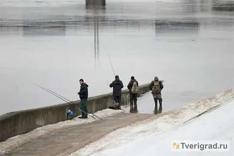 Уровень волги в твери