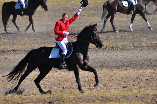 Ипподром воронеж. Ипподром воронеж. Ипподром воронеж. Ипподром бабяково воронеж. Фотография воронежский ипподром общага воронежский ипподром.