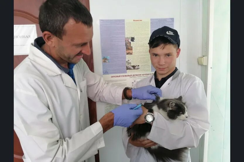 Киреевск ветеринарная. Красноуральская 2а екатеринбург. Киреевск ветеринарная. Зооклиника. Киреевск ветеринарная.