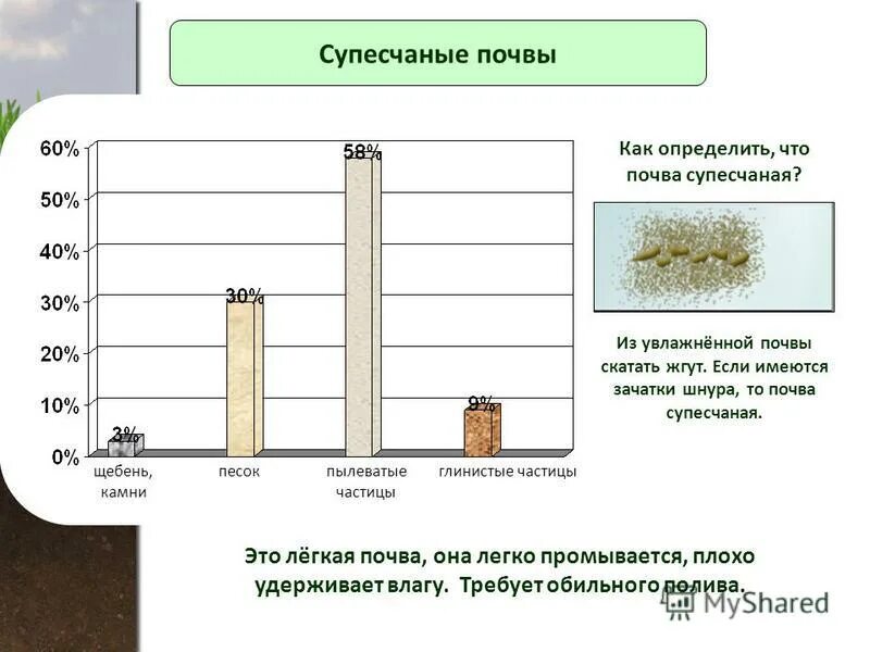 Структура песчаной почвы. Супесчаная почва. Суглинистые и супесчаные почвы. Супесчаные почвы характеризуются. Супесчаная почва схема.