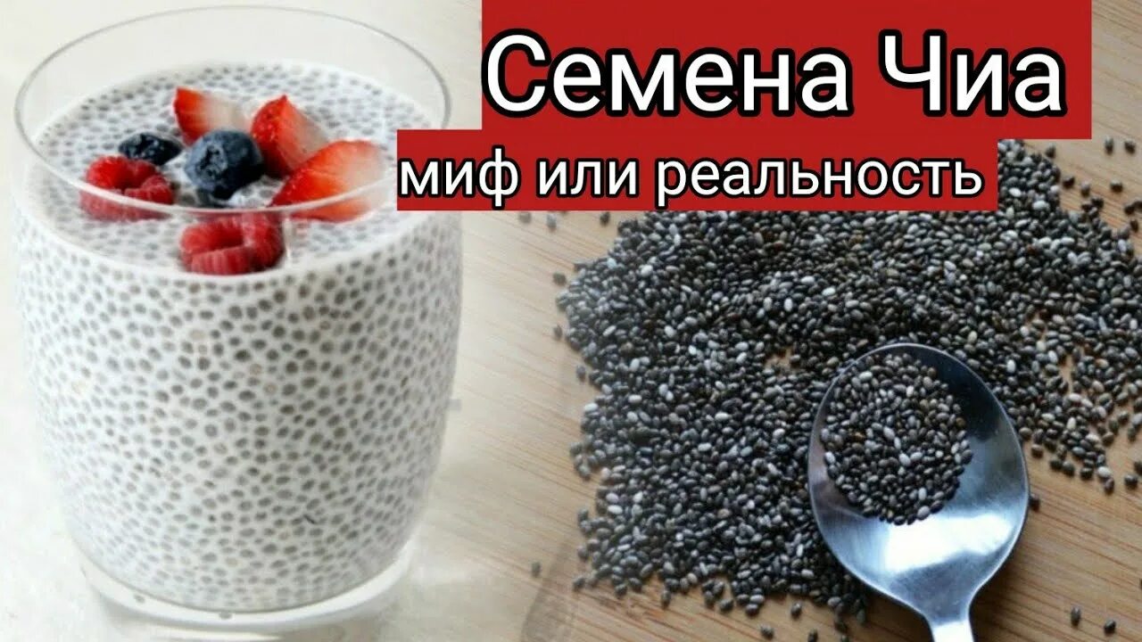 Семена Чиа 500г - купить с доставкой по выгодным ценам в интернет-магазине OZON 