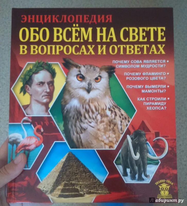 Все обо всем марковский. Книги энциклопедии для взрослых. энциклопедия обо всем на свете. энциклопедия обложка.