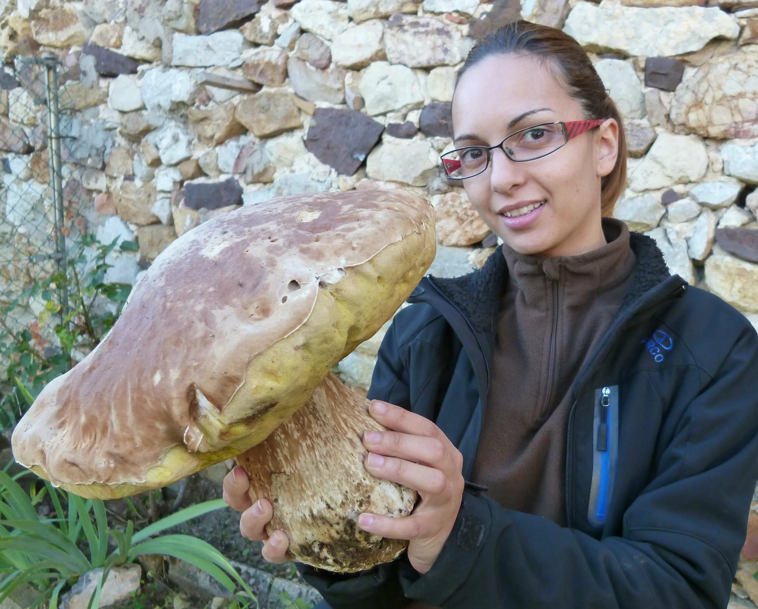 высокий гигант. высокий гигант. джиоти амге. высокий гигант. высокий гигант.