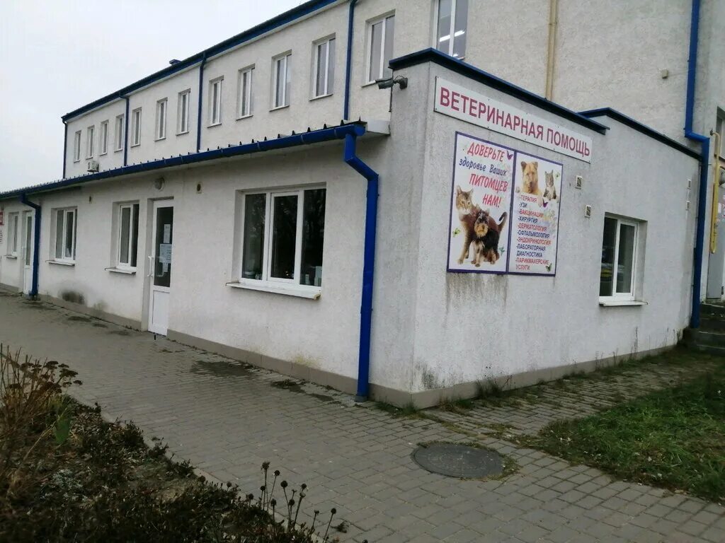 Тюменский ветеринарный центр. Ветклиника слуцк. Ветклиника слуцк. Ветклиника слуцк. Ветклиника слуцк.