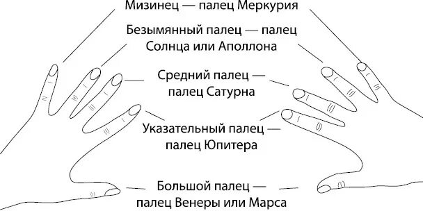 Почему палец назвали палец. Расположение пальцев на руке название. Значение каждого пальца на руке. Кольцы на руках значение. Обозначения на пальцах руки.
