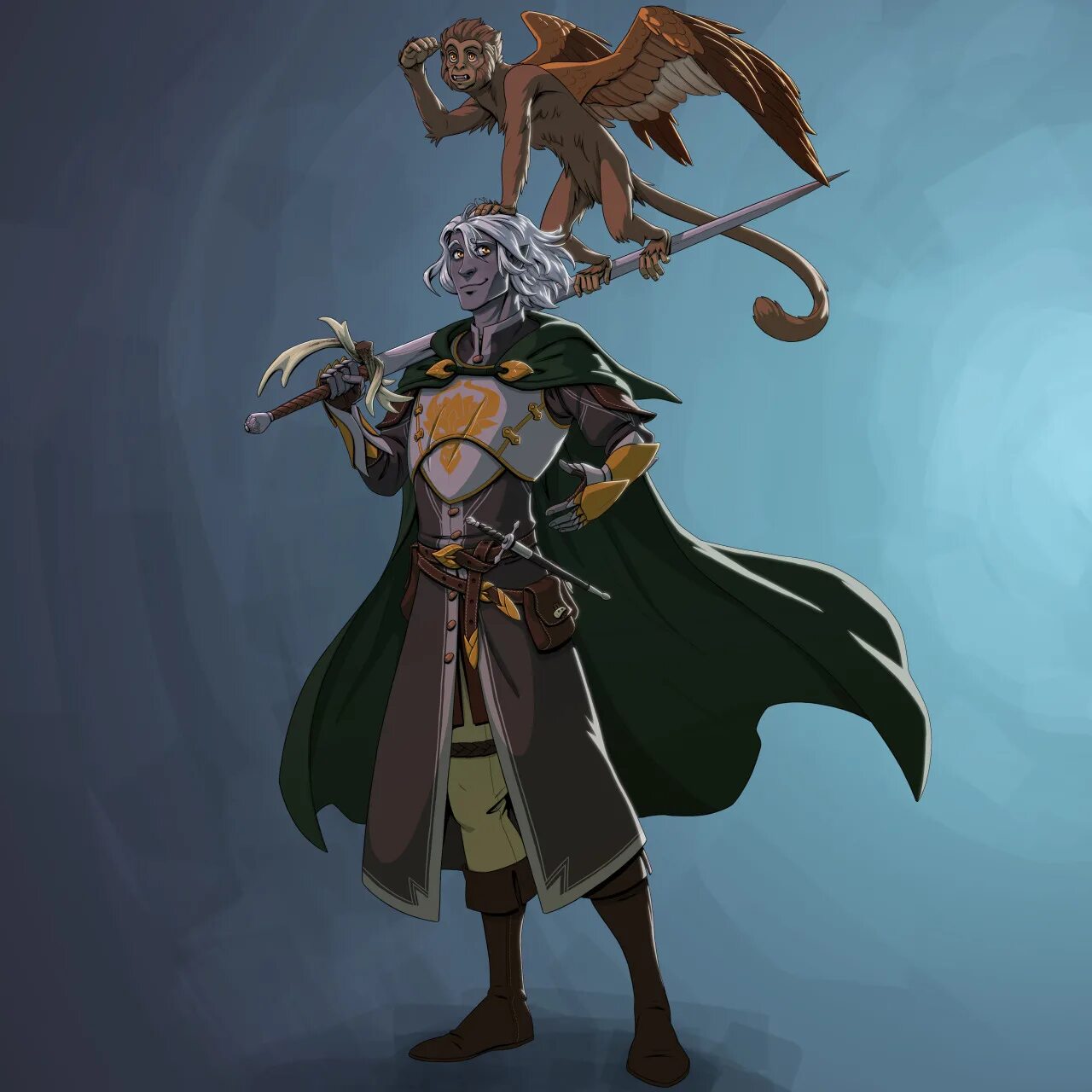 Dnd one дата выхода. Паладин колдун. днд колдун паладин. half-drow paladin. half-drow dnd.