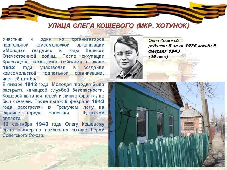 Цитаты кошевого