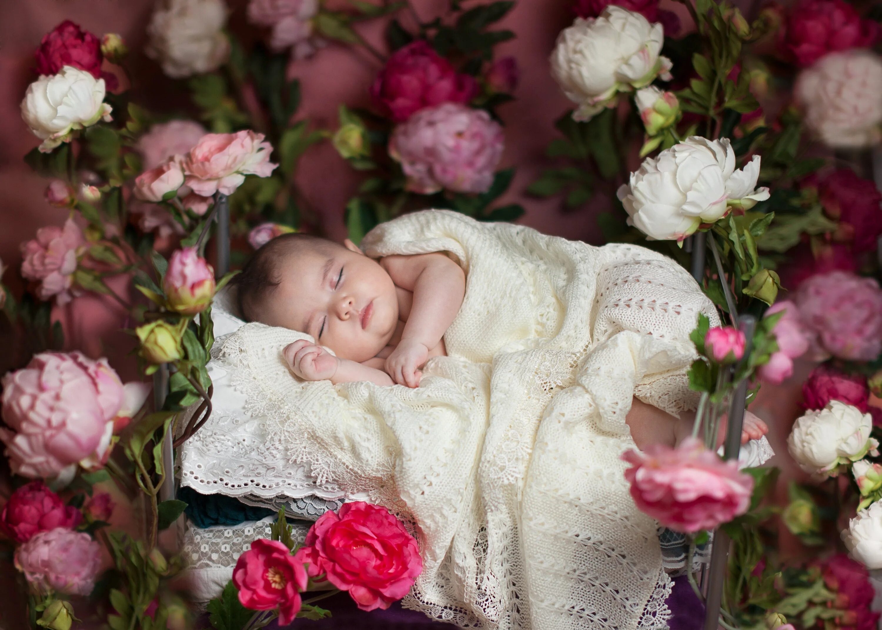 Большие цветы во сне. Младенец в цветах. Дети в цветах. Новорожденный в цветах. Детская фотосессия с цветами.
