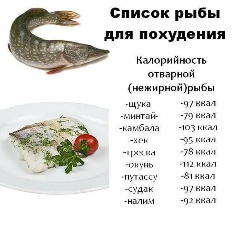 Белая нежирная рыба для диеты список. Нежирная морская рыба для диеты список. Нежирные сорта рыбы для диеты. Жирные и нежирные сорта рыбы. Минтай в духовке калории