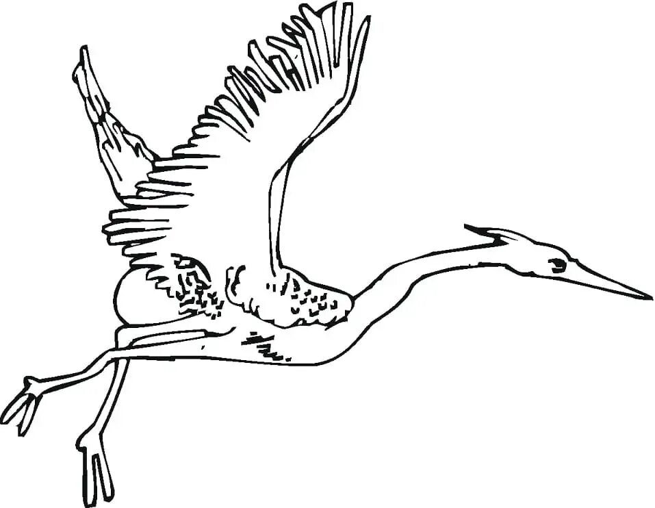 Журавли распечатать и вырезать шаблон. Журавль раскраска. Журавль раскраска для детей. Белый журавль раскраска. Журавлик раскраска.