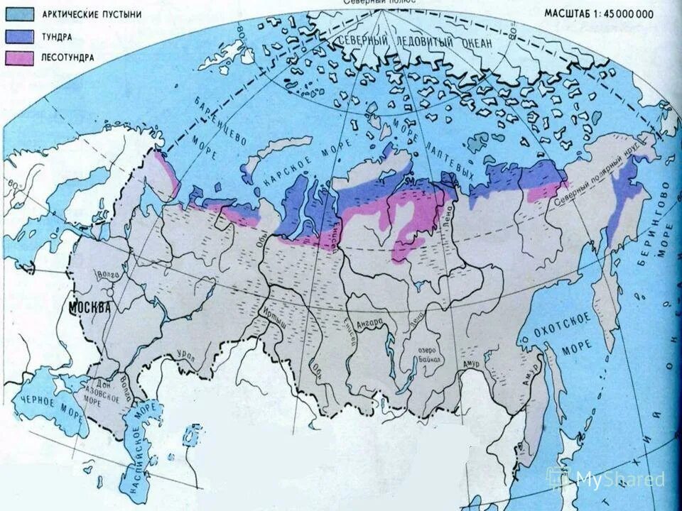 Природа тундры описание. Географическое положение тундры в россии. В зоне тундр распространены. Тундра таймыра. В зоне тундр распространены.