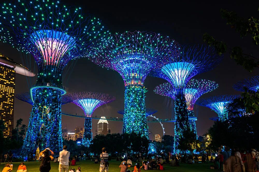 Сингапур тип 1. Supertrees сингапур. gardens by the bay сингапур. supertree grove. сингапур светящиеся деревья.