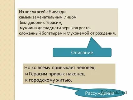 Челедь