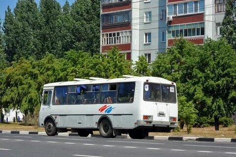 Где автобус димитровград