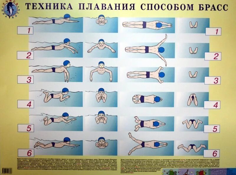 Брасс плавание описание. Техника выполнения способа плавания «брасс». Техника плавания способом брасс в полной координации. Стиль плавания кроль на спине брасс. Техника плавания брассом для начинающих в картинках пошагово.