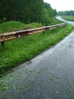 Трава на обочинах дорог