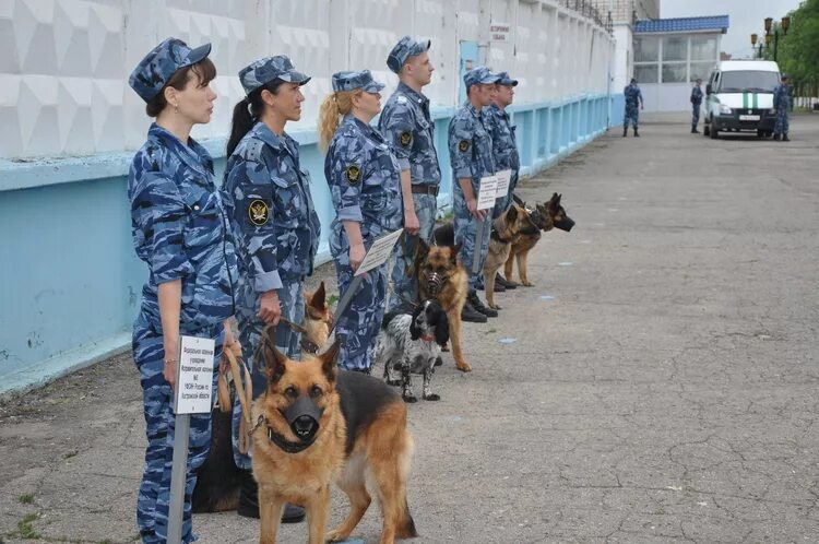Кинолог в полиции зарплата. Зп кинолога в мчс в москве. кинолог. кинолог зарплата. военный кинолог.