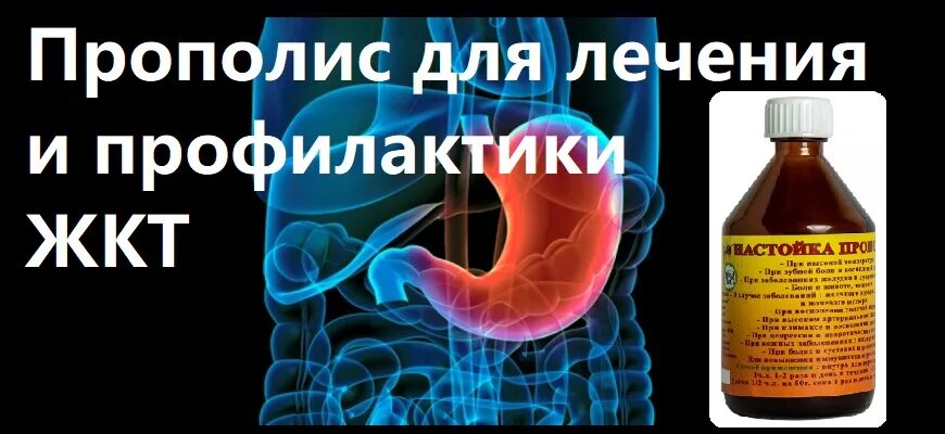 Настойка прополиса для жкт. Прополис для желудка. прополис лечебные для желудка. настойка прополиса при гастрите. прополис при заболевании жкт.