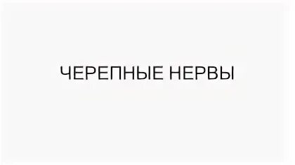 Черепные презентация