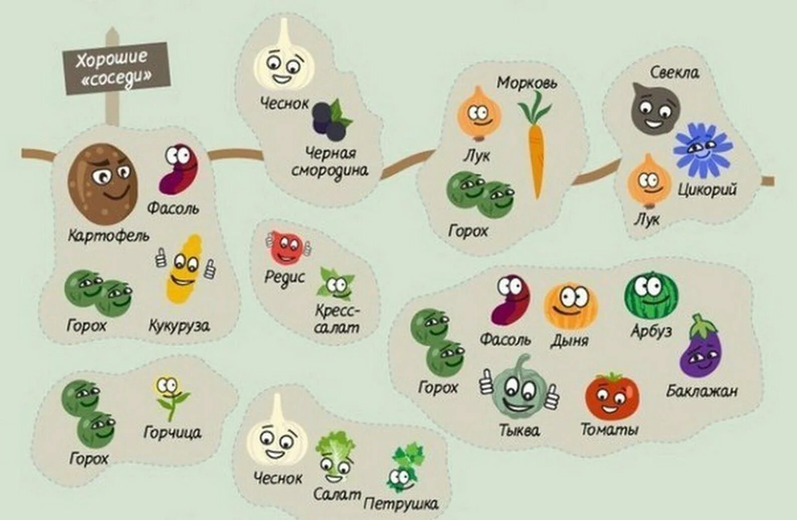 Овощи в огороде список. Соседство овощей на грядках таблица. Таблица соседства овощей. Посадка овощей на огороде по соседству. Овощное соседство на грядках.