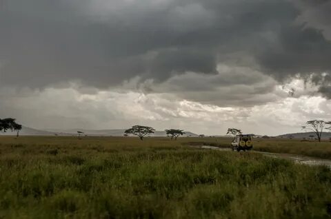 Savannah storm