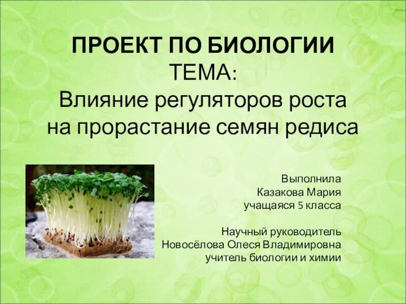 Темы по предмету индивидуальный проект - найдено 82 картинок