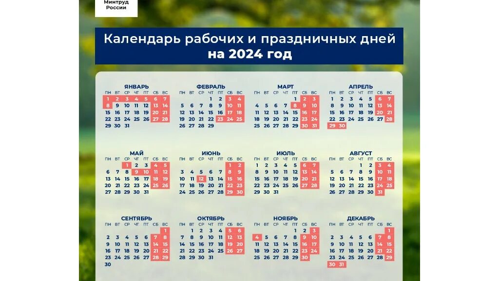 Как отдыхаем в июне 2025г