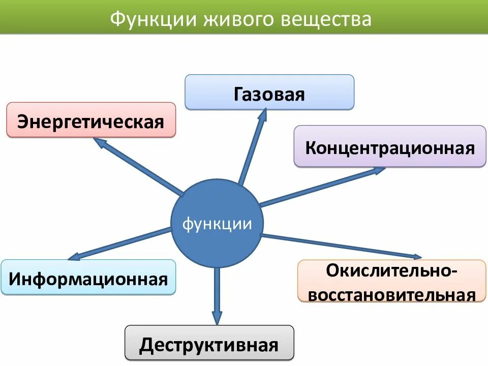 Благодаря окислительно восстановительной функции живого. Схема функции живого вещества. 5 функций живого вещества. биосферные функции живого вещества. функции живого вещества биология.