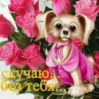 Самой классной любимой