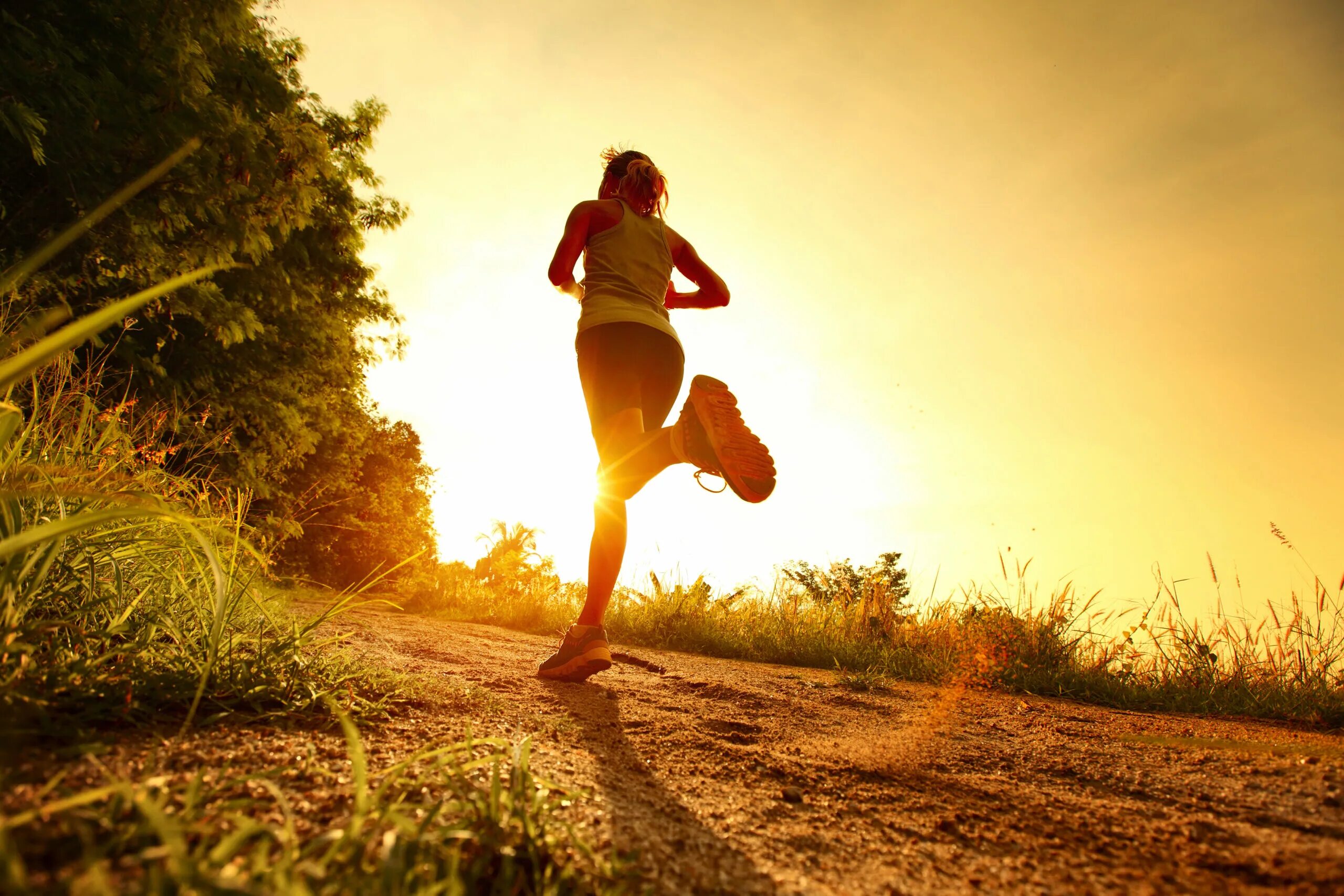 Learning to run. Learning to run