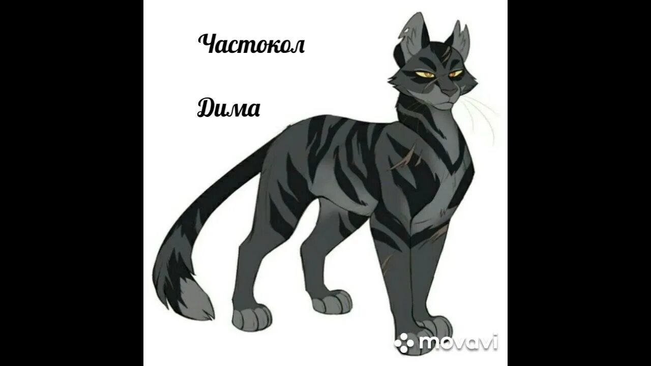 Частокол коты. Коты воители частокол. Коты воители частокол. Коты воители остро кол. Частокол коты.