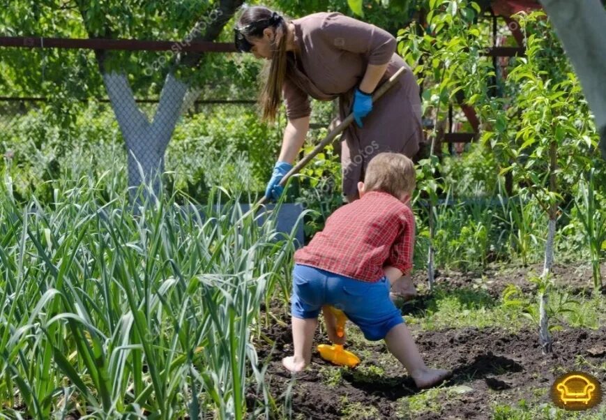Родители трудятся дети наслаждаются. Японская пословица про детей и родителей. Будут просить милостыню. Если дети то внуки будут просить милостыню. Японская мудрость о жизни.