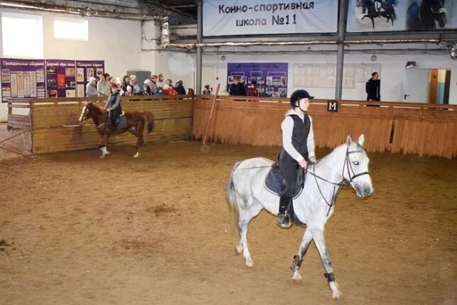 Кск занятия. Школа конного спорта Иваново Колотилова. 11 Школа Иваново Конная. ДЮСШ 11 Иваново конный спорт. Конюшня Иваново Колотилова.