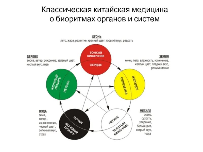 Китайская медицина органы. Теория Усин китайская. Китайская система оздоровления у-син у син. Таблица пяти элементов у-син. 5 Стихий в китайской медицине.